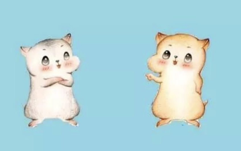 云漫圈 | 什么是字符串匹配算法？