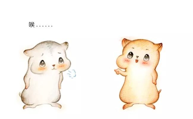 云漫圈 | 什么是字符串匹配算法?