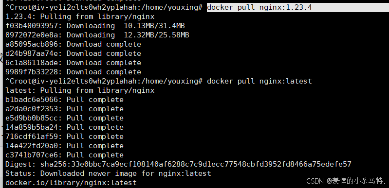 在这里插入图片描述