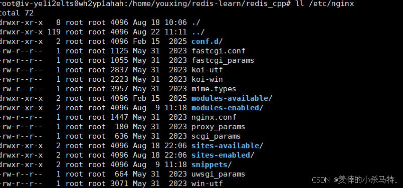 在这里插入图片描述