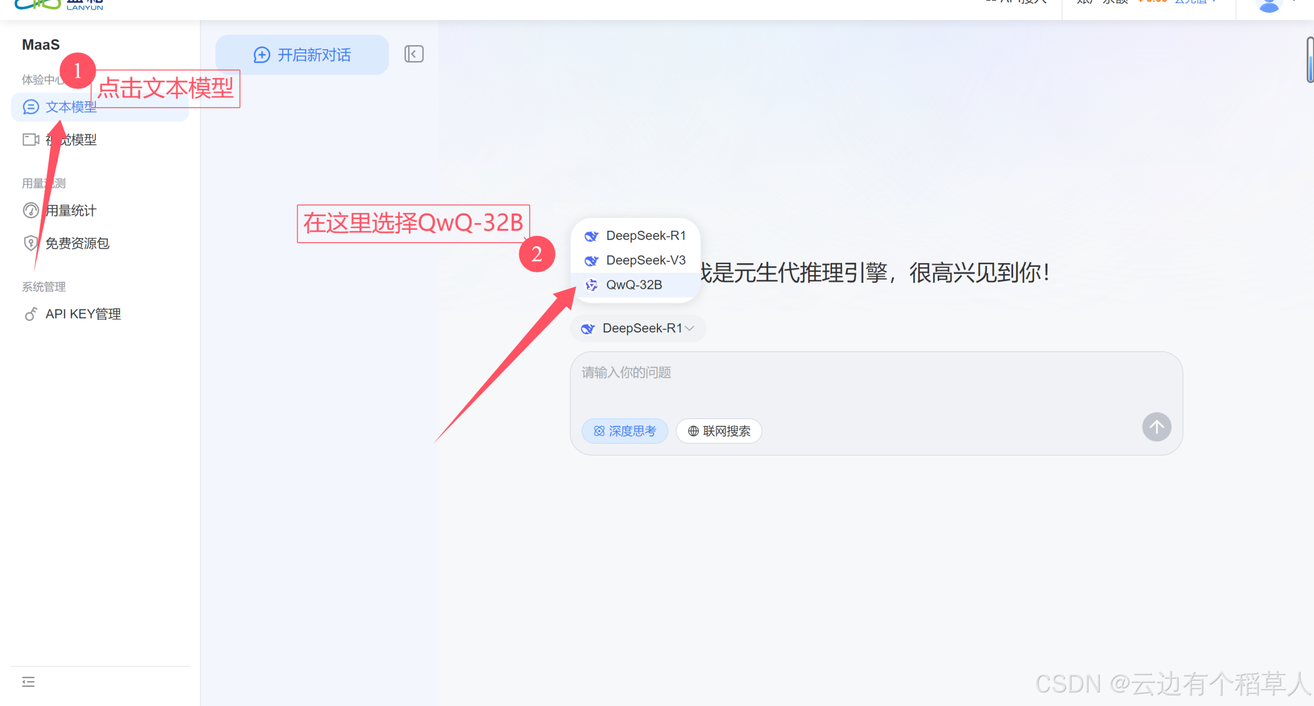 破解大数据密码:蓝耘Maas平台与阿里QWQ的智能分析革命