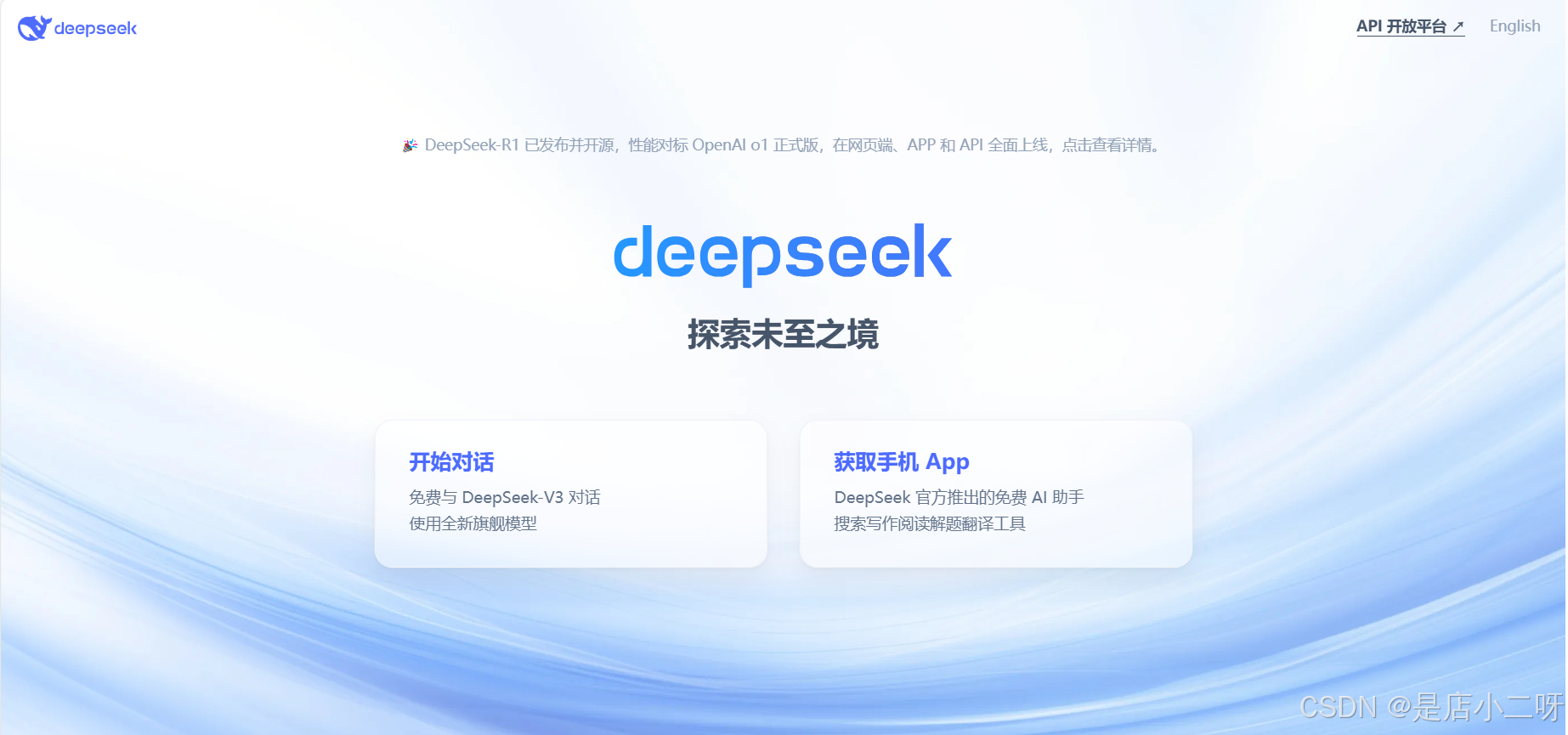 深入探索人工智能的未来：DeepSeek R1与蓝耘智算平台的完美结合
