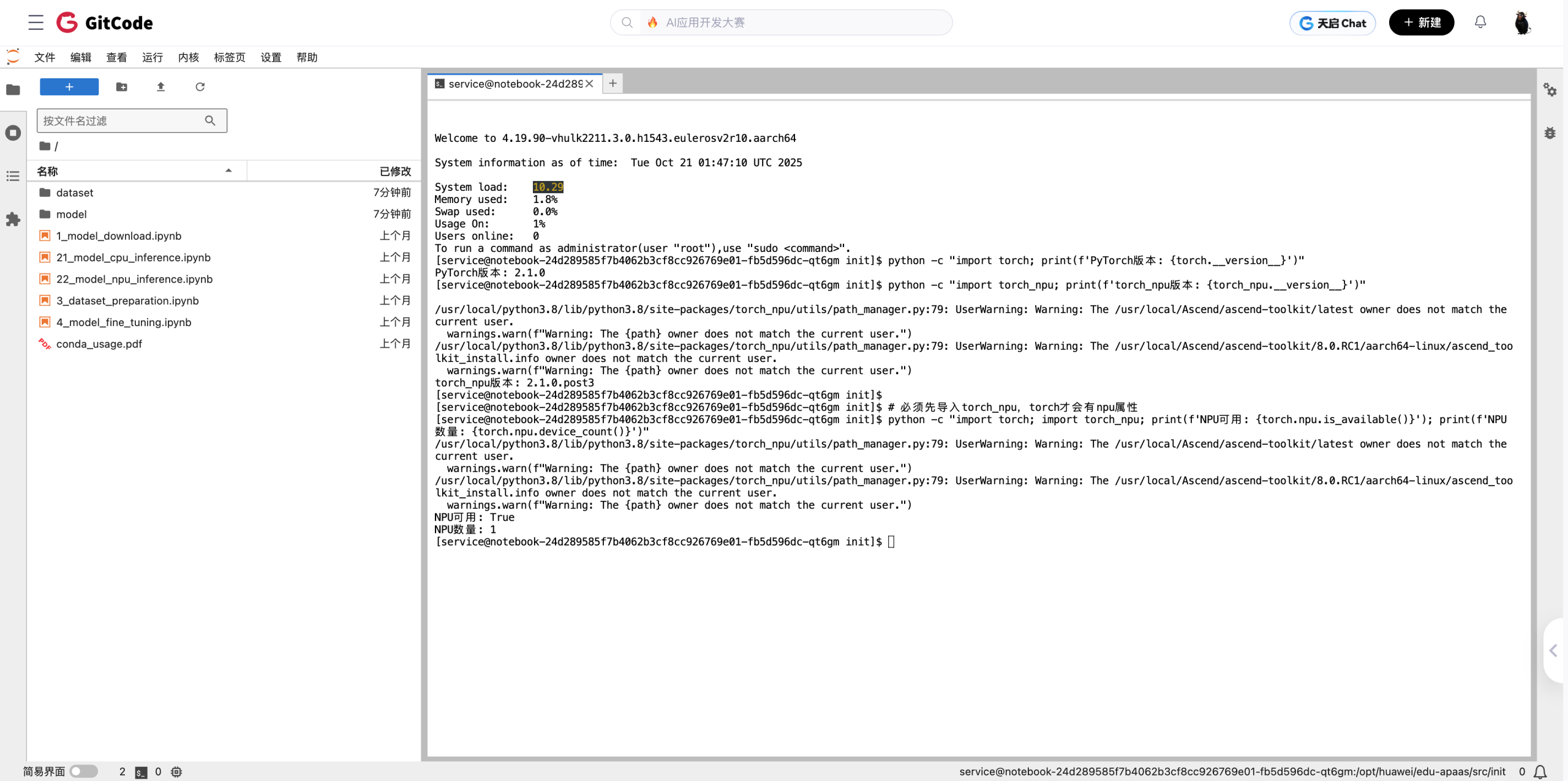 昇腾NPU部署成功