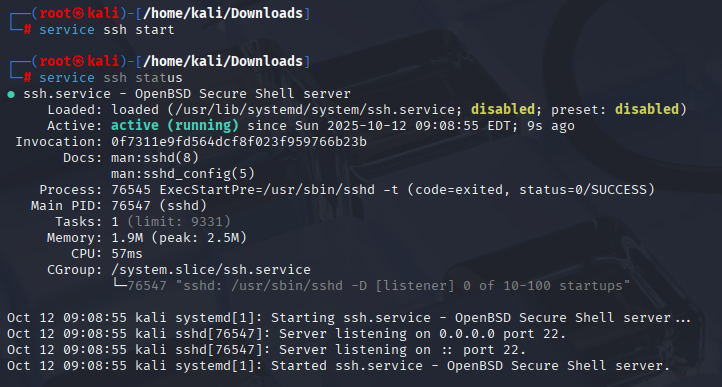 HexStrike AI 部署教程