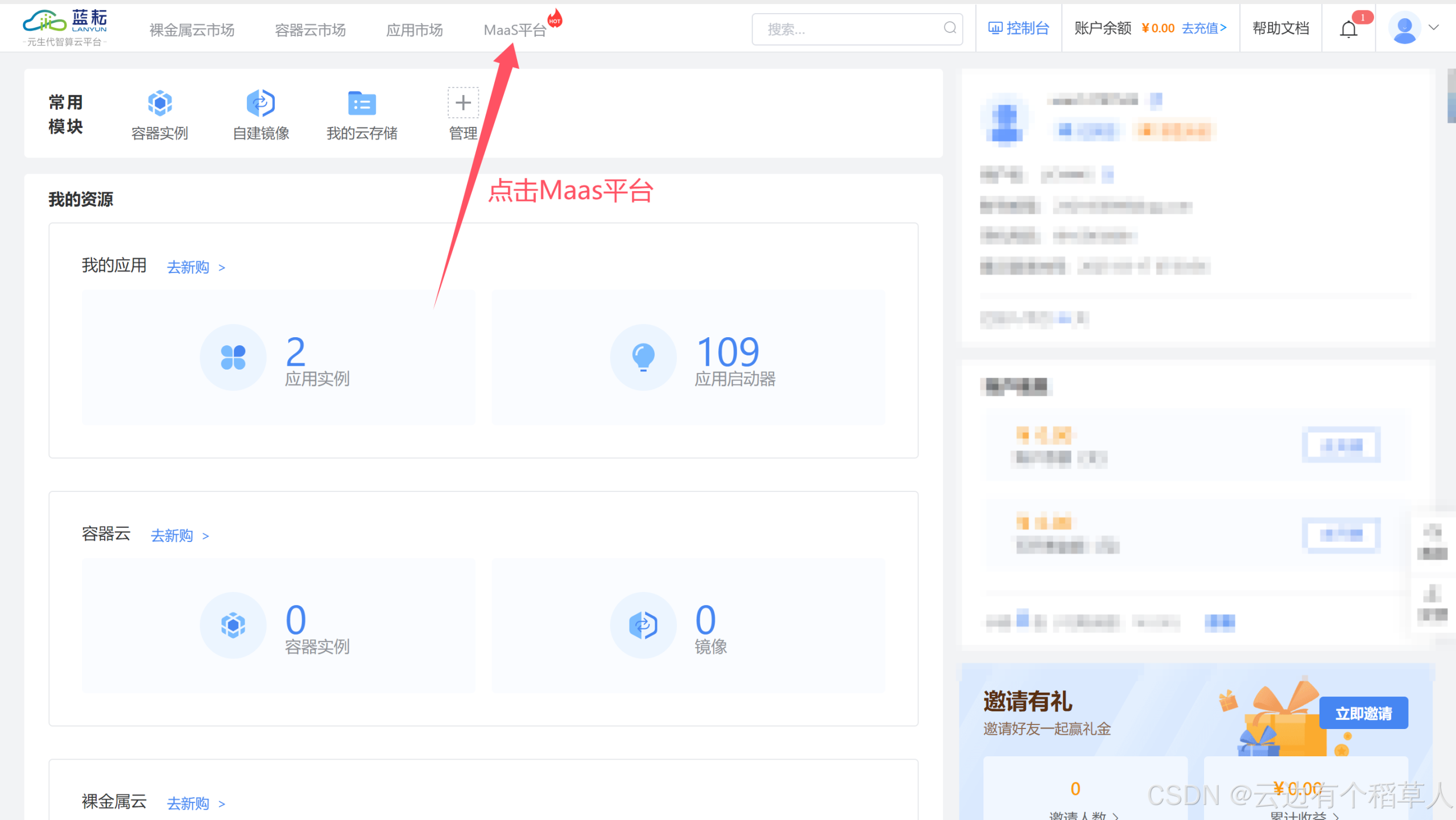 破解大数据密码:蓝耘Maas平台与阿里QWQ的智能分析革命
