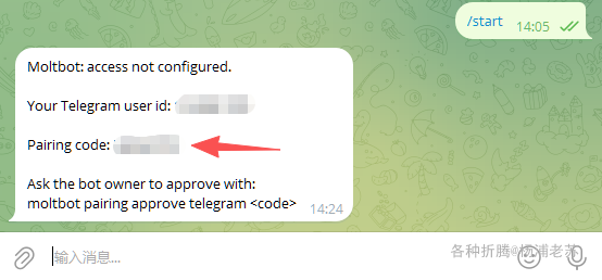 Docker方式安装你的私人AI电脑助手Moltbot