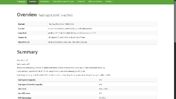 Hadoop 安装与搭建全流程教学【全网最全超详细保姆级教学】