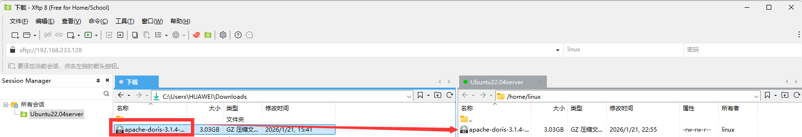 大数据Apache Doris从入门到入土（一）