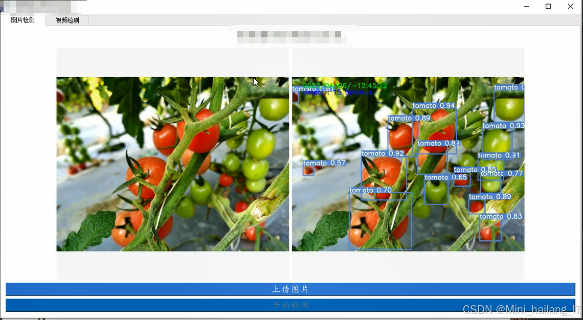 目标检测/计算机视觉/人工智能专业/计算机专业/智能科学与技术专业毕业设计选题指导 选题建议