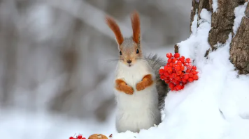 AI 时代的软件工程：如何用 OpenSpec 驱动“全自动”开发