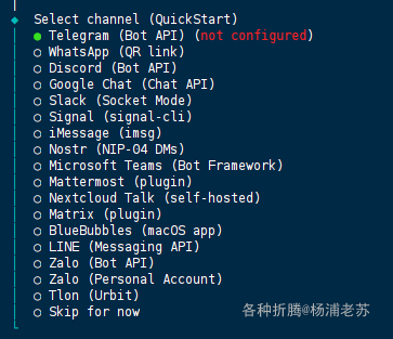 Docker方式安装你的私人AI电脑助手Moltbot