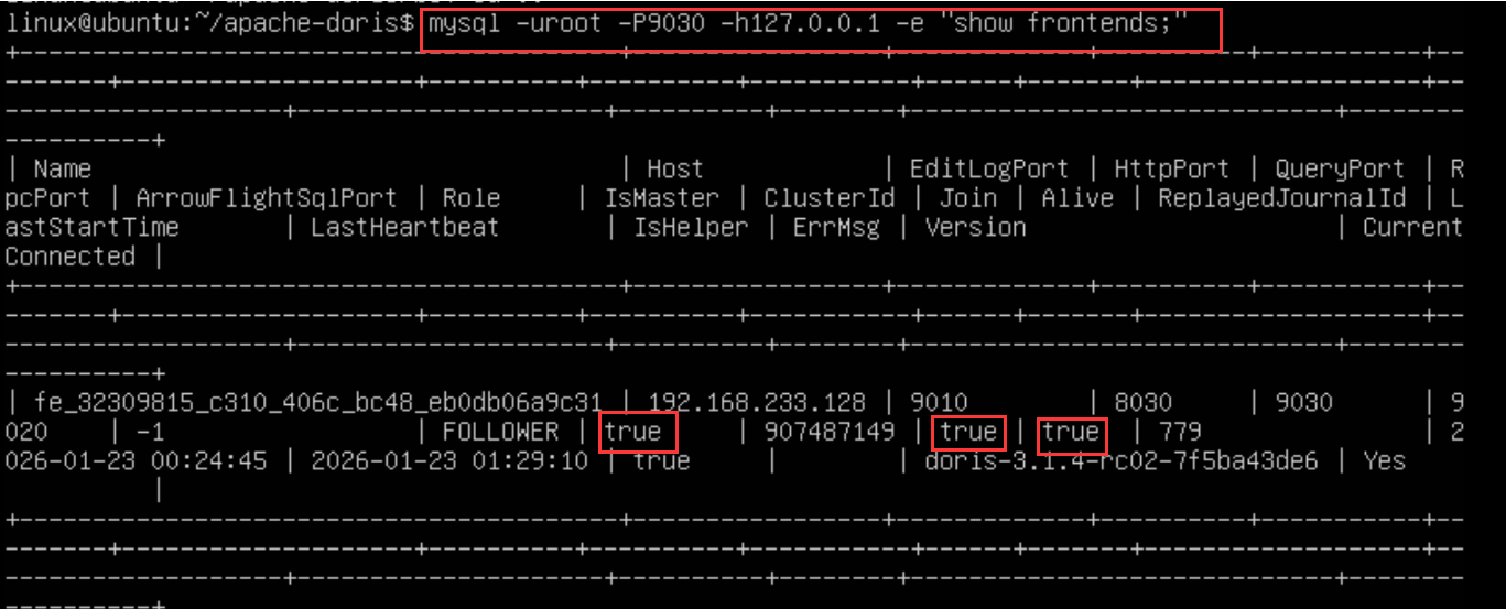 大数据Apache Doris从入门到入土（一）