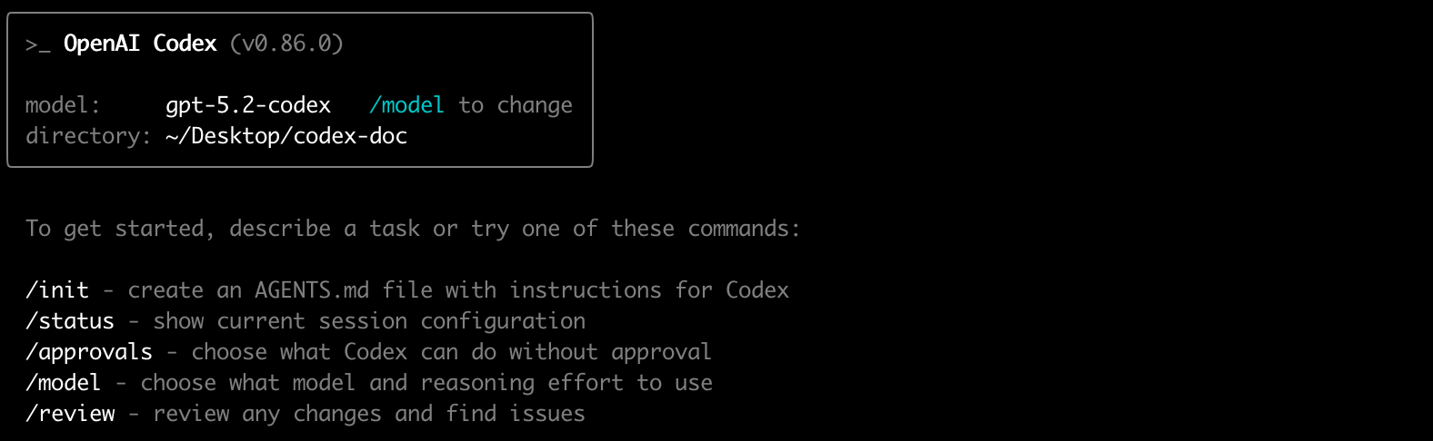 Codex 完整指南（一）：快速入门｜工程级 AI 编程代理