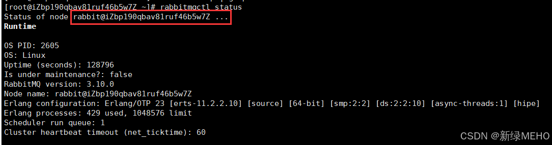 详解RabbitMQ单机多节点搭建集群