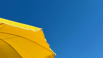 家常菜谱软件推荐：分类齐全无广告步骤详细