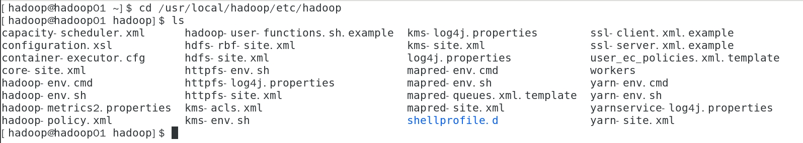 查看hadoop文件夹的内容