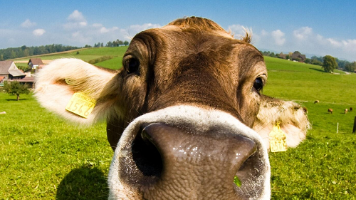 WeArchive | 公众号文章保存工具