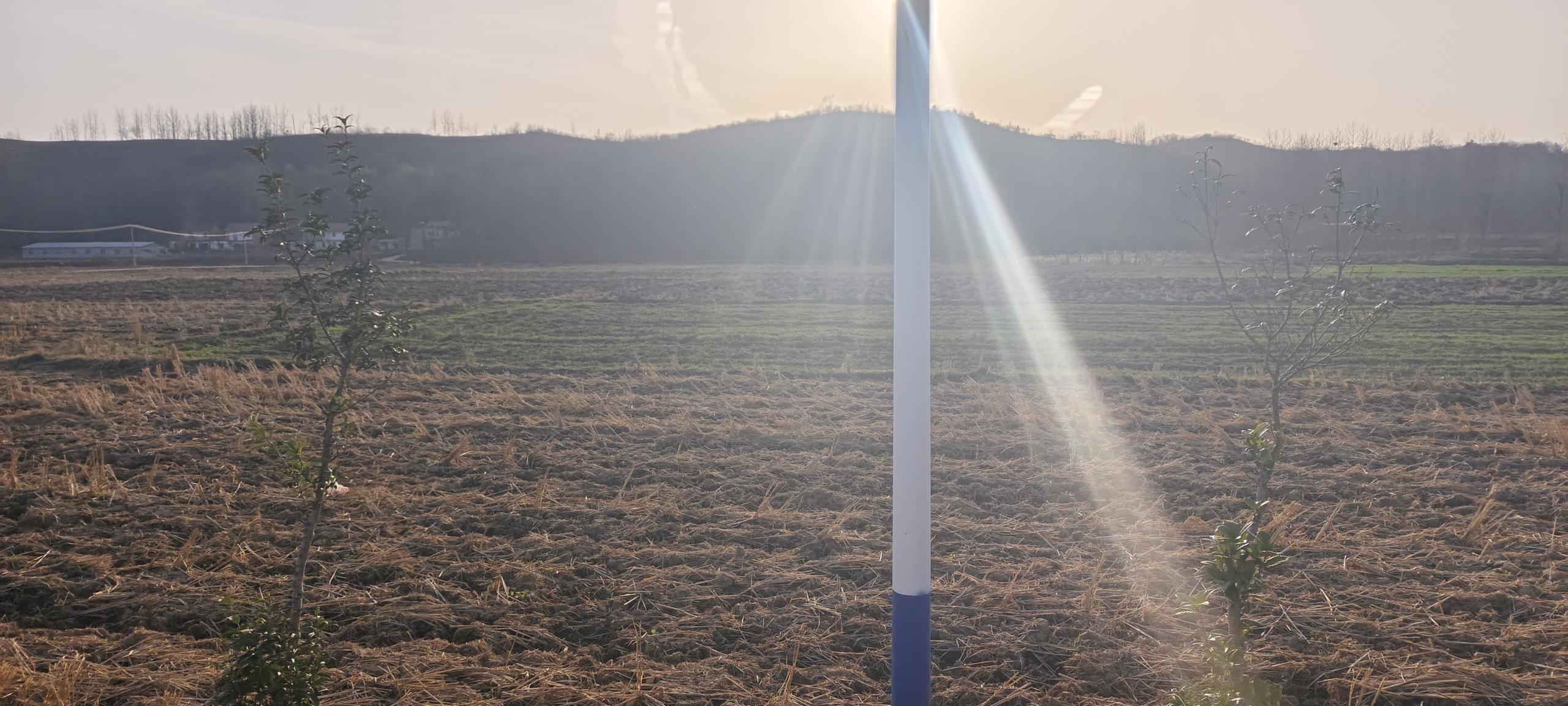 从高原到云端：一个青海少年的AI农业创业之路