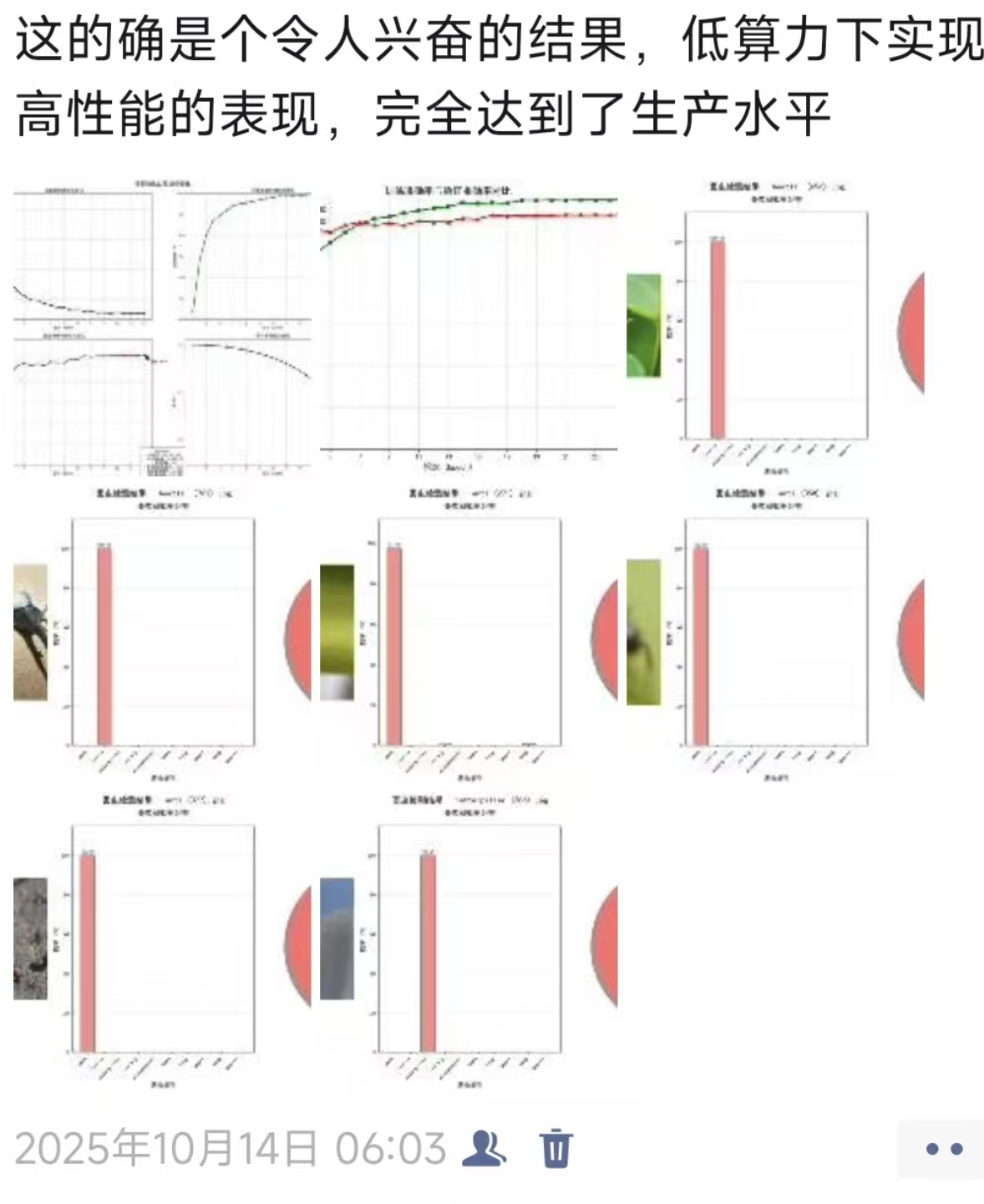 从高原到云端：一个青海少年的AI农业创业之路