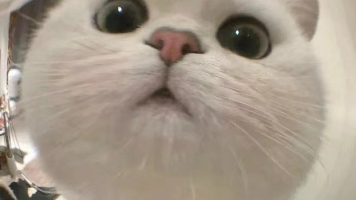 Kafka：为什么分区是高并发的关键？