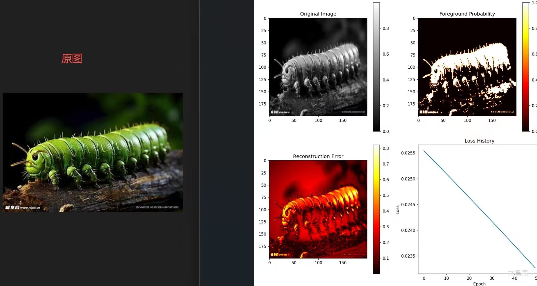 从高原到云端：一个青海少年的AI农业创业之路