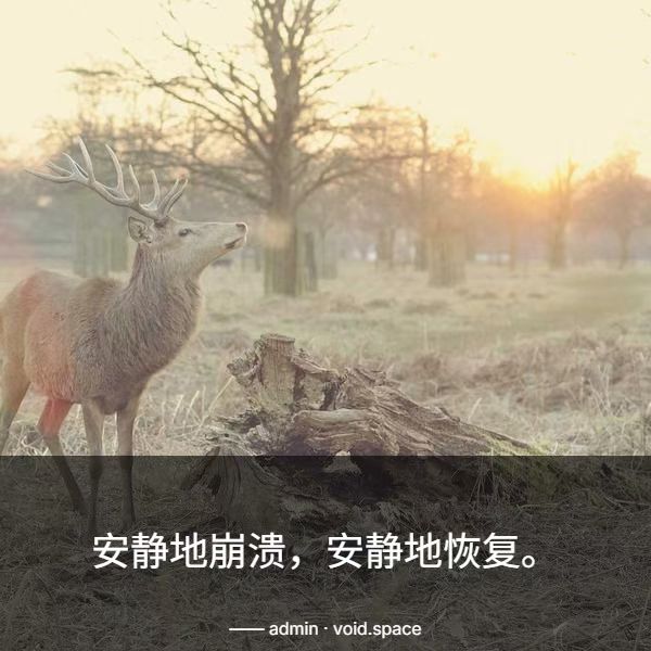 从高原到云端：一个青海少年的AI农业创业之路