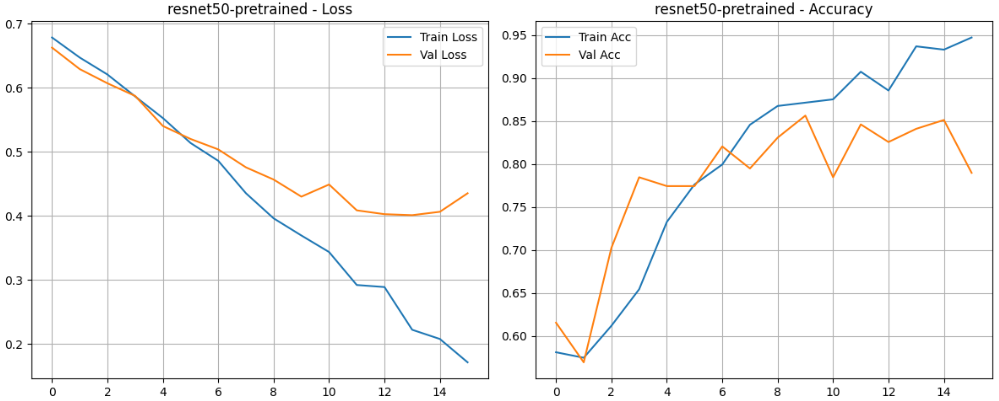 深度学习实战-基于CNN与Transformer的人工智能艺术VS人类艺术识别模型