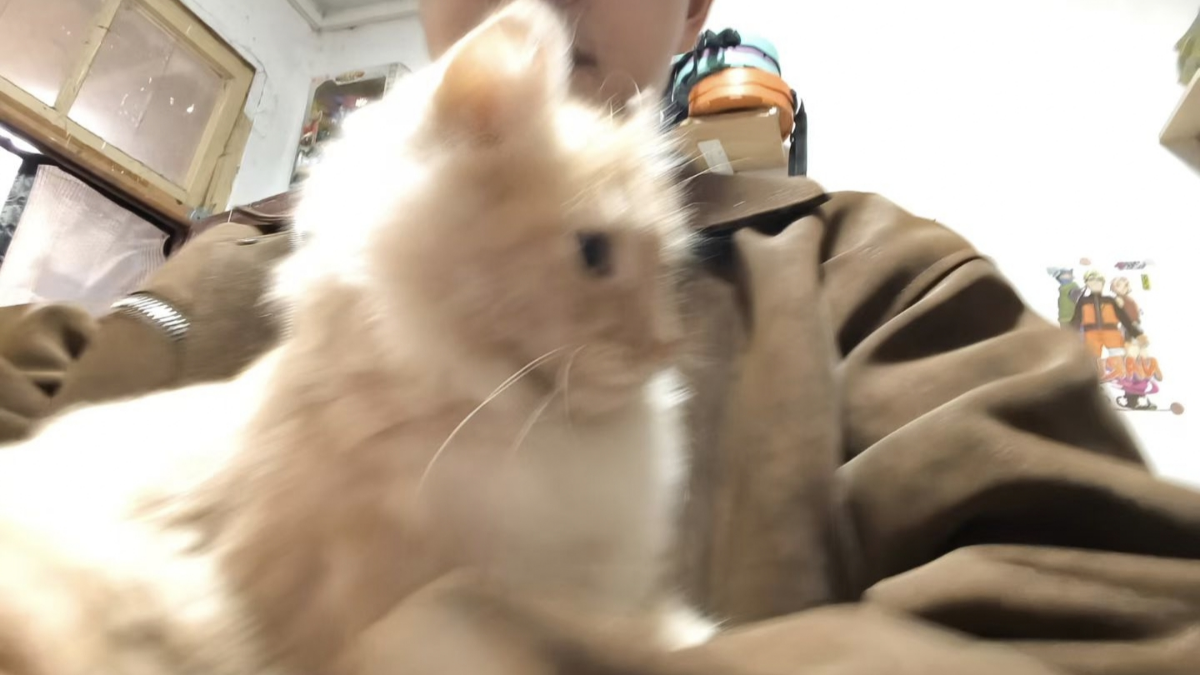 从高原到云端：一个青海少年的AI农业创业之路