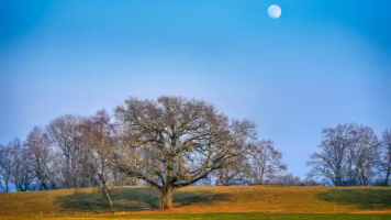 JDBC连接Spark并行度优化：从原理到实践