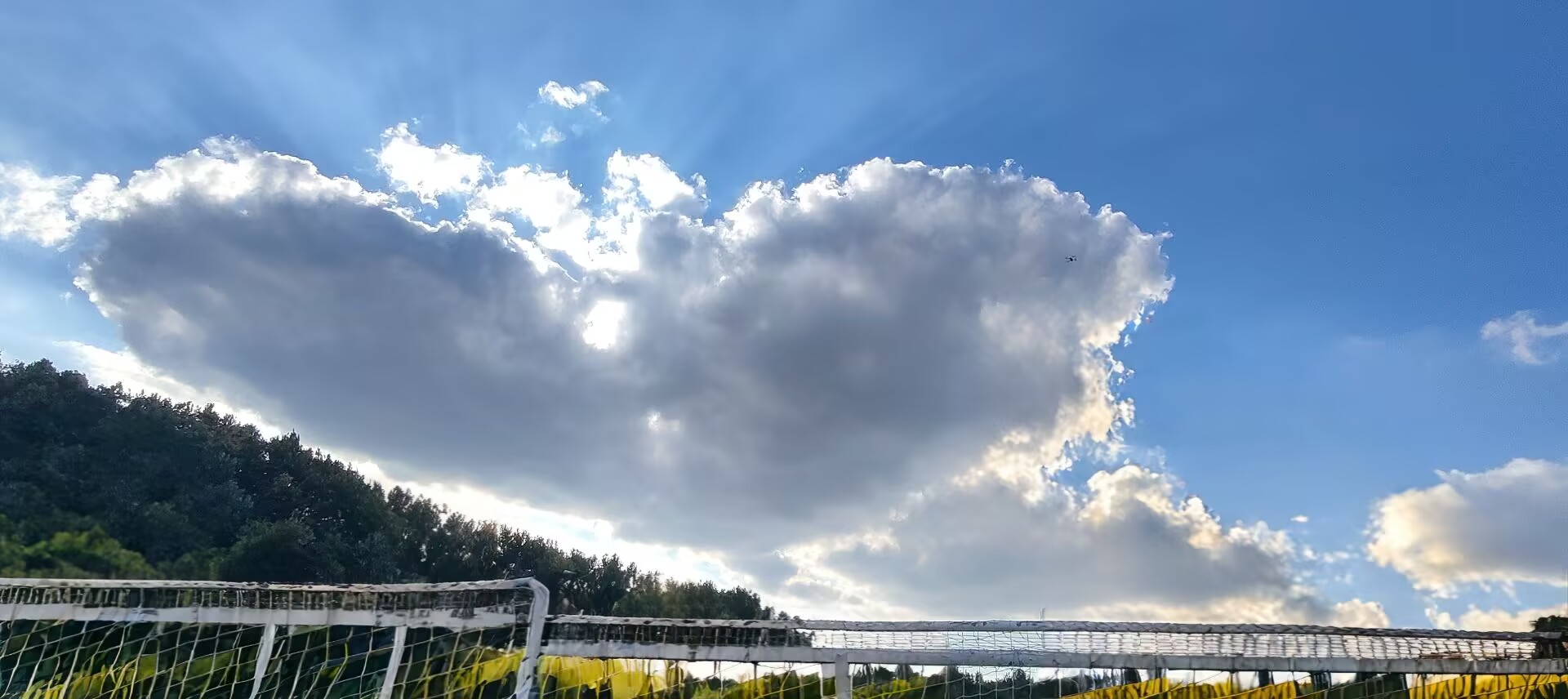 从高原到云端：一个青海少年的AI农业创业之路