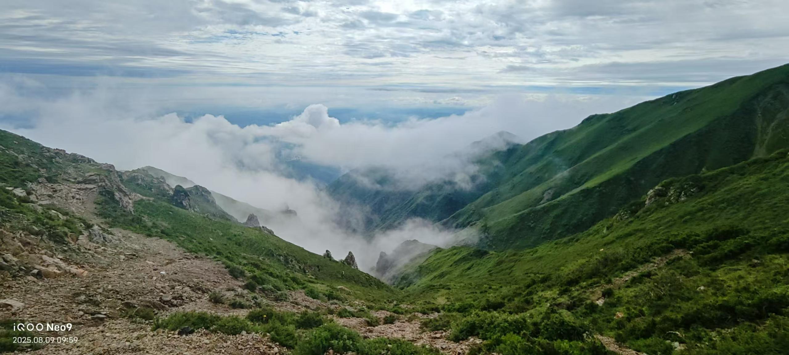 从高原到云端：一个青海少年的AI农业创业之路