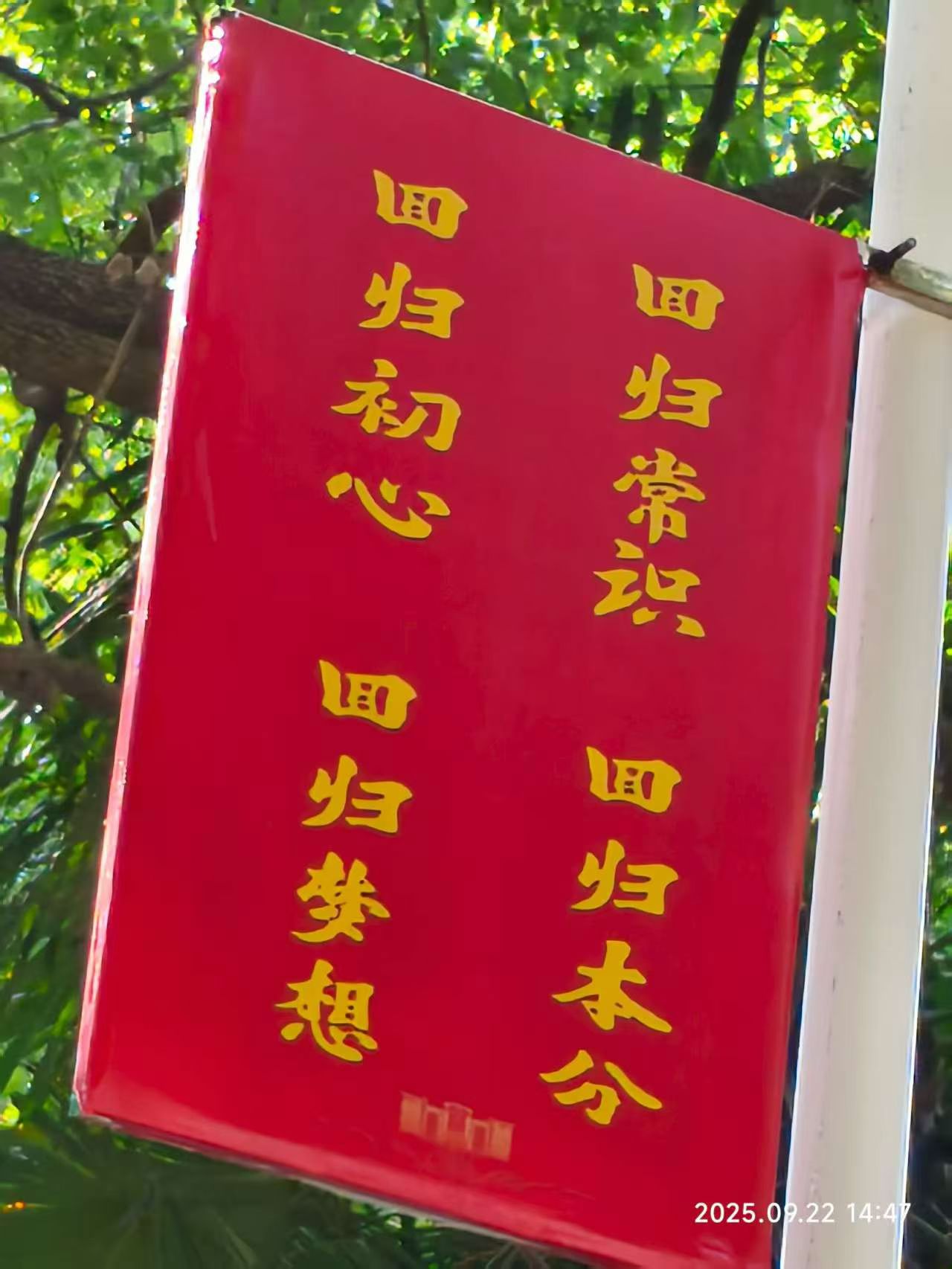 从高原到云端：一个青海少年的AI农业创业之路