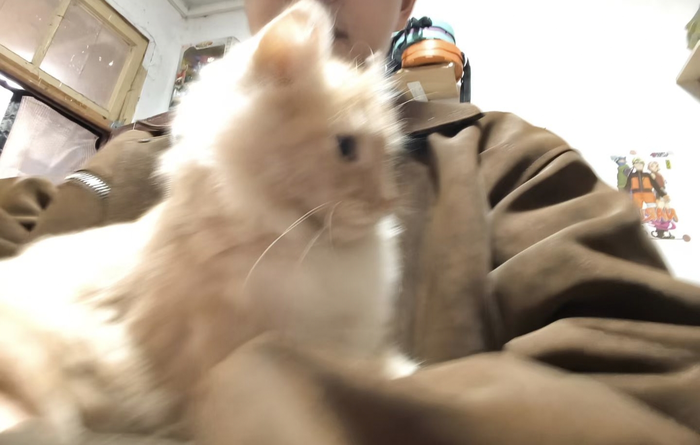 从高原到云端：一个青海少年的AI农业创业之路