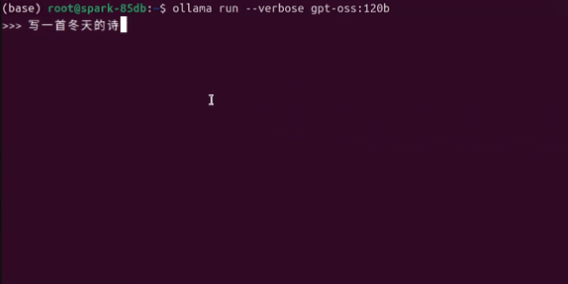 NVIDIA DGX Spark实现本地千亿级参数模型推理