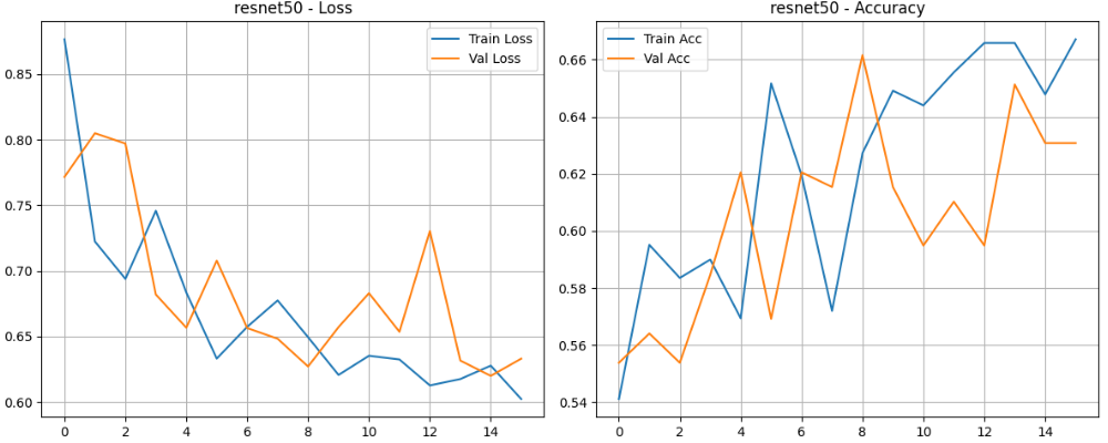 深度学习实战-基于CNN与Transformer的人工智能艺术VS人类艺术识别模型