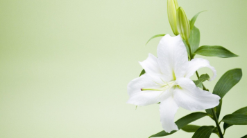 Hive核心知识：从基础到实战全解析