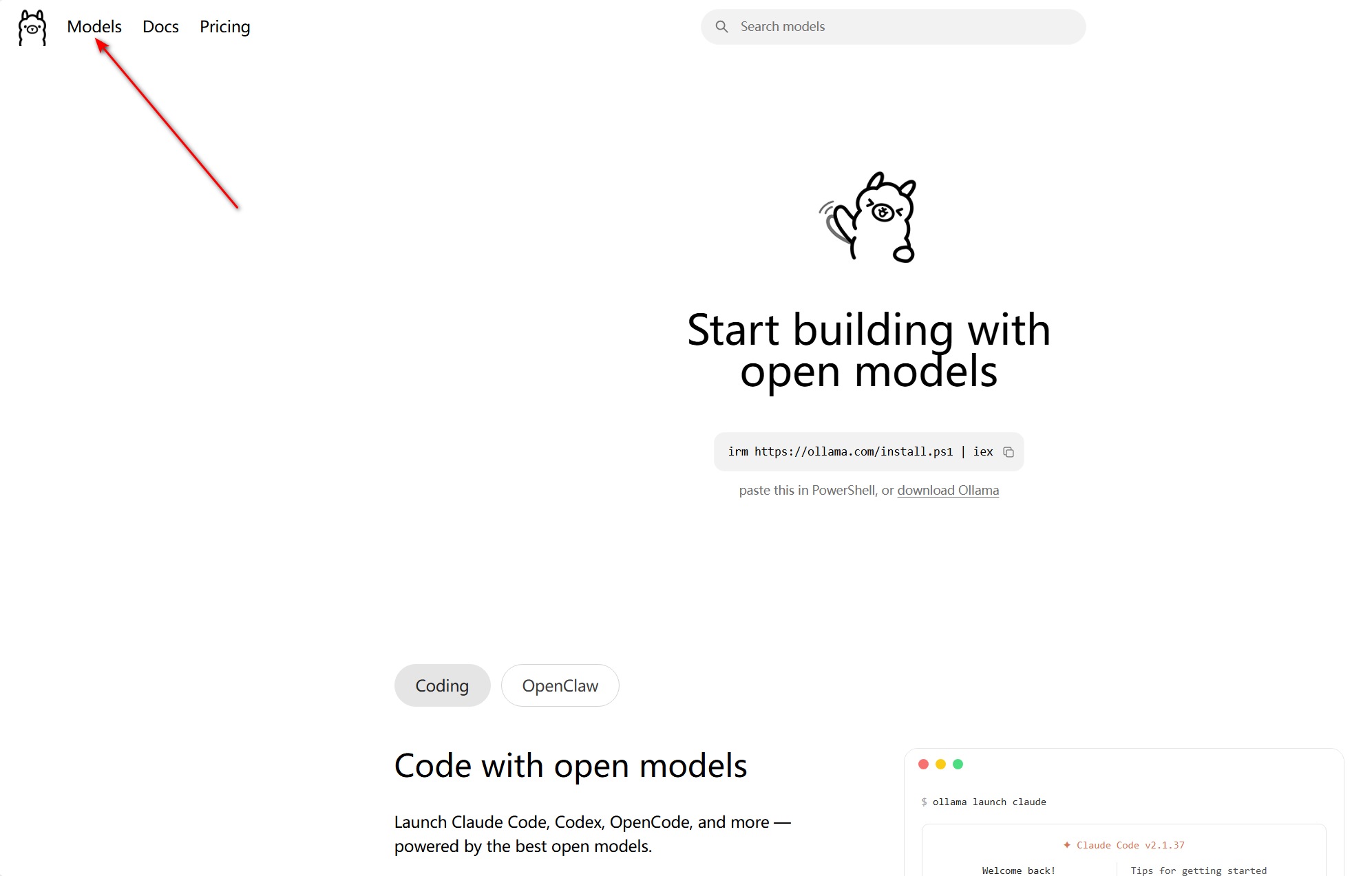 破除各种限制,手把手教你本地部署大语言模型,打造私人AI