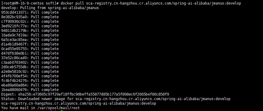【微服务】Spring AI Alibaba Jmus 从部署到项目实战详解
