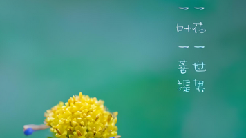 2025时序数据库选型，从架构基因到AI赋能来解析