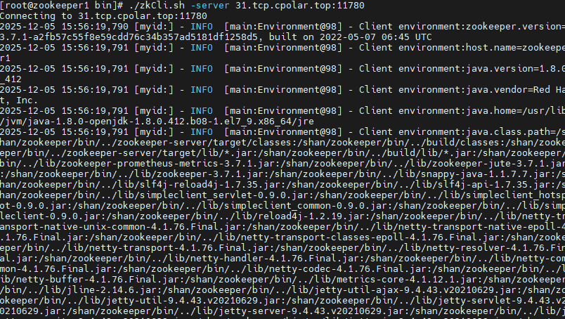 image-20251205155631474