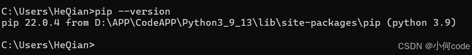 安装Python3.9.13，以Windows11，edge为例