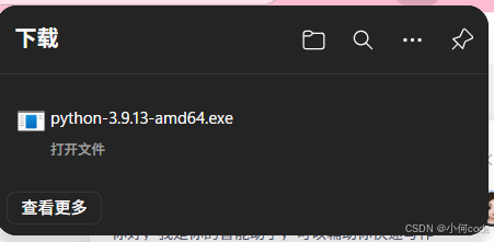 安装Python3.9.13，以Windows11，edge为例
