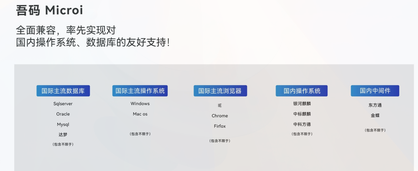 Microi 吾码：大数据浪潮中的智能领航者