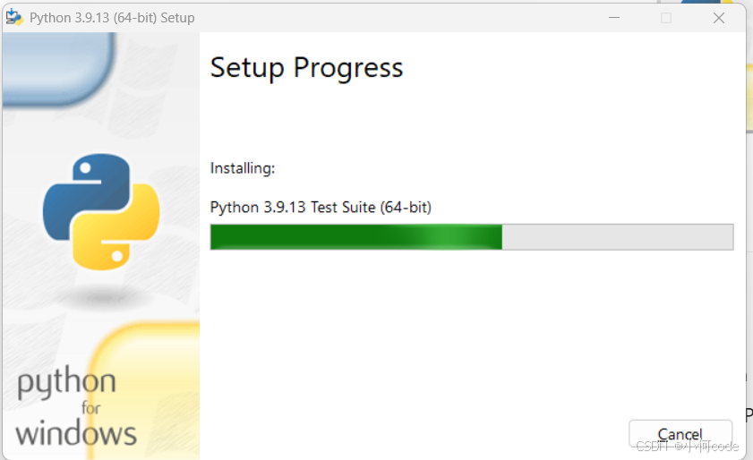 安装Python3.9.13，以Windows11，edge为例