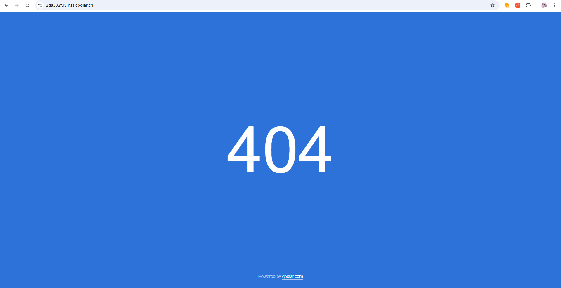 image-20260228215250316