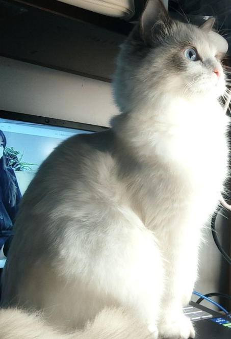 告别文档翻找：我用Nexent让AI真正“理解”了我的工作