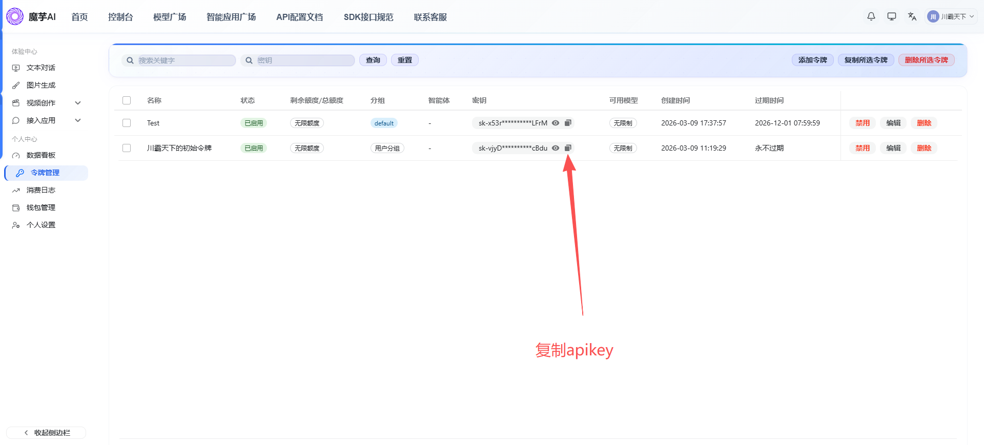 【手把手详细教程】 Trae AI和Vscode~使用第三方中转API配置Claude ,GPT,Gemini等大模型教程