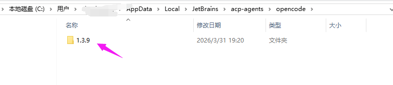 IntelliJ IDEA AI Assistant 携带OpenCode保姆级安装教程来了