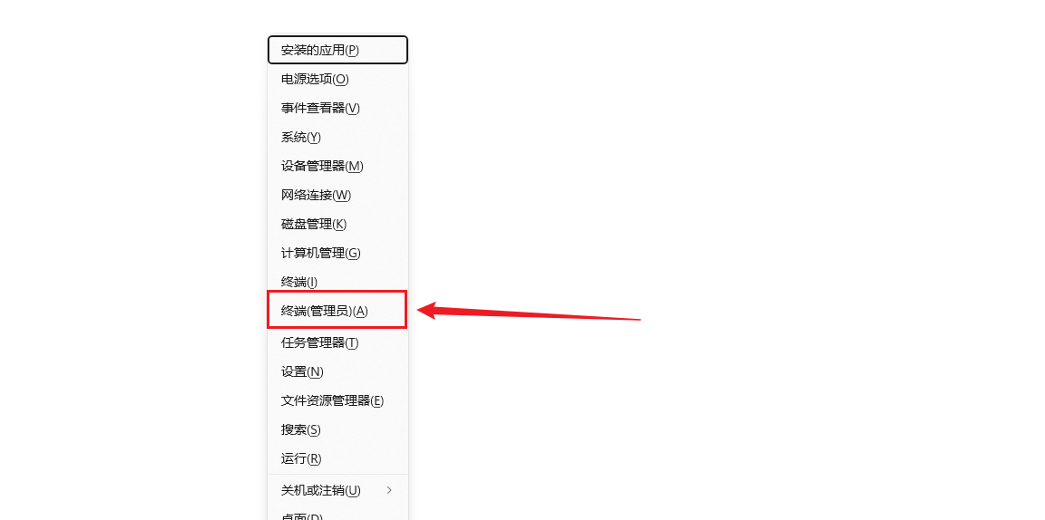 image-20260228164020722