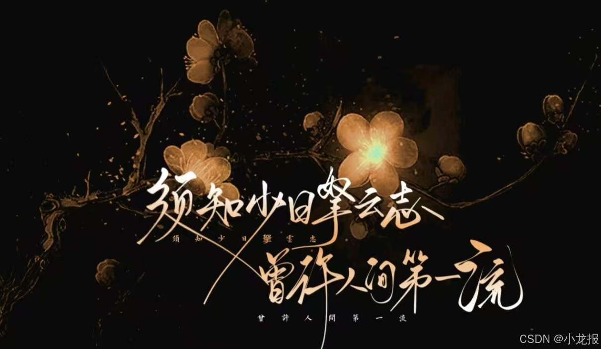 在这里插入图片描述